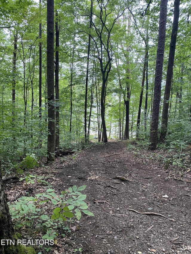 5 Lakewood Rd Lot4, Maynardville, TN 37807