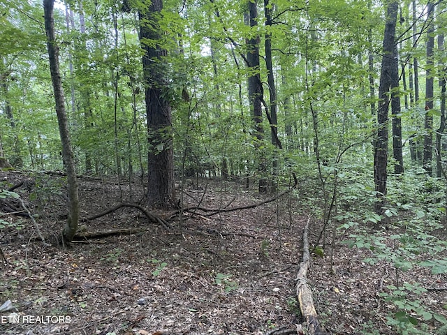 5 Lakewood Rd Lot4, Maynardville, TN 37807