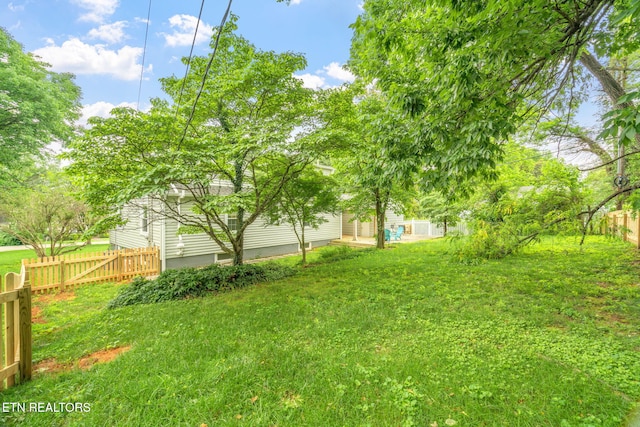 4051 Sutherland Ave, Knoxville, TN 37919 - view of yard