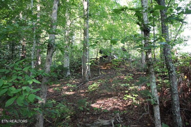 523 Rudd Hollow Rd, Townsend, TN 37882 - photo 2