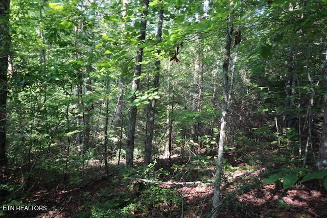 523 Rudd Hollow Rd, Townsend, TN 37882 - photo 3