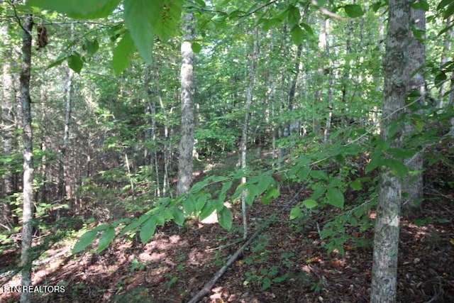 523 Rudd Hollow Rd, Townsend, TN 37882 - photo 5