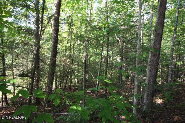 523 Rudd Hollow Rd, Townsend, TN 37882 - photo 6