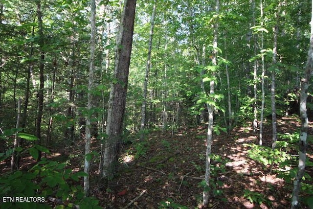 523 Rudd Hollow Rd, Townsend, TN 37882 - photo 10