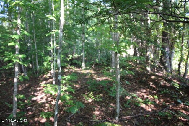 523 Rudd Hollow Rd, Townsend, TN 37882 - photo 11