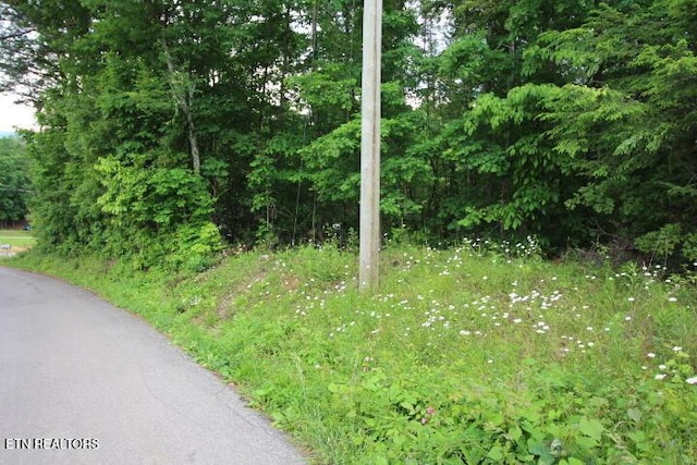 523 Rudd Hollow Rd, Townsend, TN 37882 - photo 14