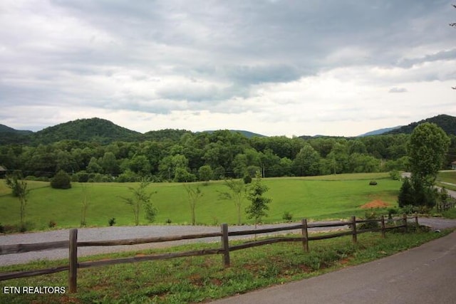 523 Rudd Hollow Rd, Townsend, TN 37882 - photo 4