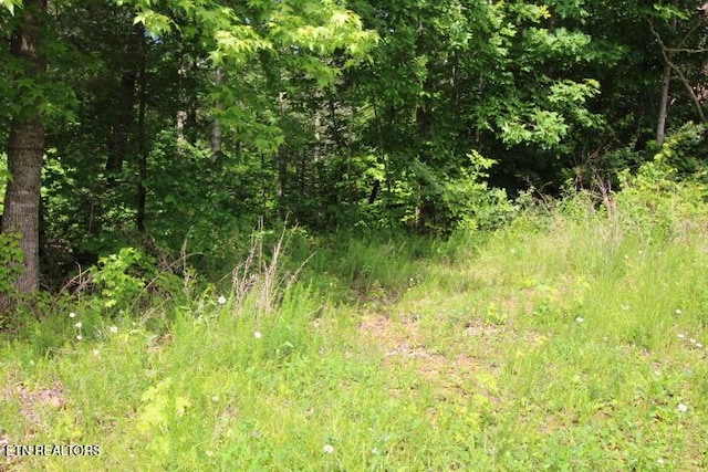 523 Rudd Hollow Rd, Townsend, TN 37882 - photo 15