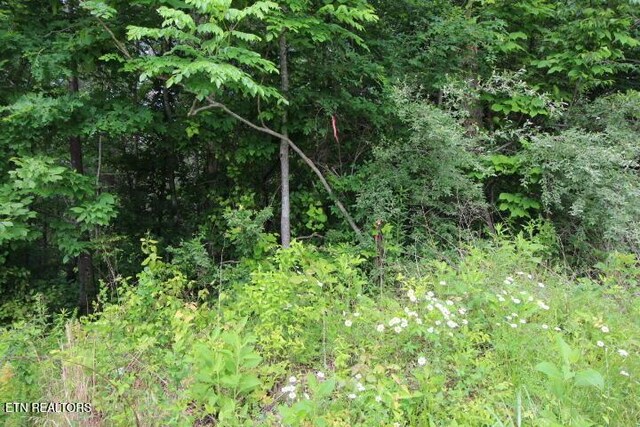 523 Rudd Hollow Rd, Townsend, TN 37882 - photo 16