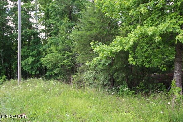 523 Rudd Hollow Rd, Townsend, TN 37882 - photo 17