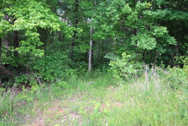523 Rudd Hollow Rd, Townsend, TN 37882 - photo 18