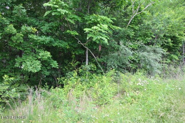 523 Rudd Hollow Rd, Townsend, TN 37882 - photo 19