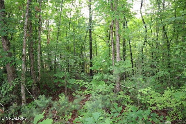 523 Rudd Hollow Rd, Townsend, TN 37882 - photo 21