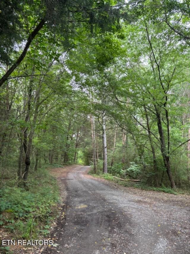 208 Charles Eaves Ln, Benton, TN 37307 - view of road with a forest view
