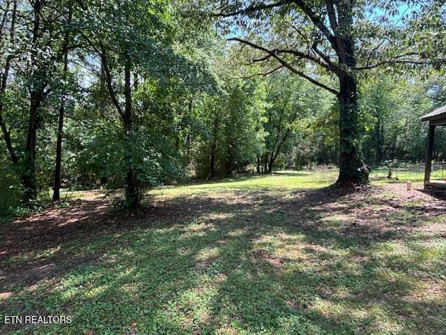 208 Charles Eaves Ln, Benton, TN 37307 - view of grassy yard with a wooded view