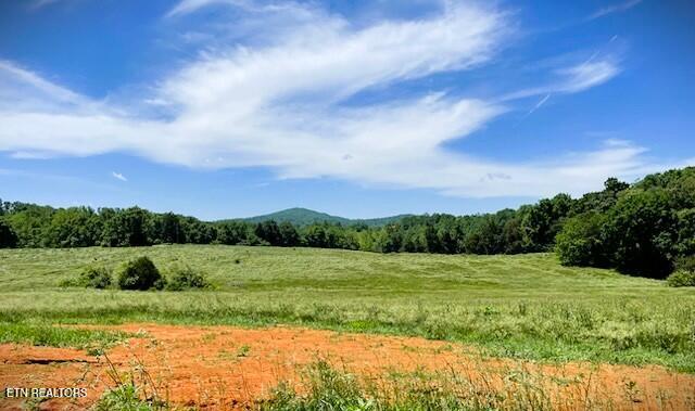 1146 Moodyville Loop, Byrdstown, TN 38549 - view of tree filled area with a view of rural / pastoral area