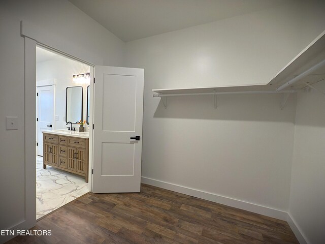 1146 Moodyville Loop, Byrdstown, TN 38549 - walk in closet with a sink and wood finished floors