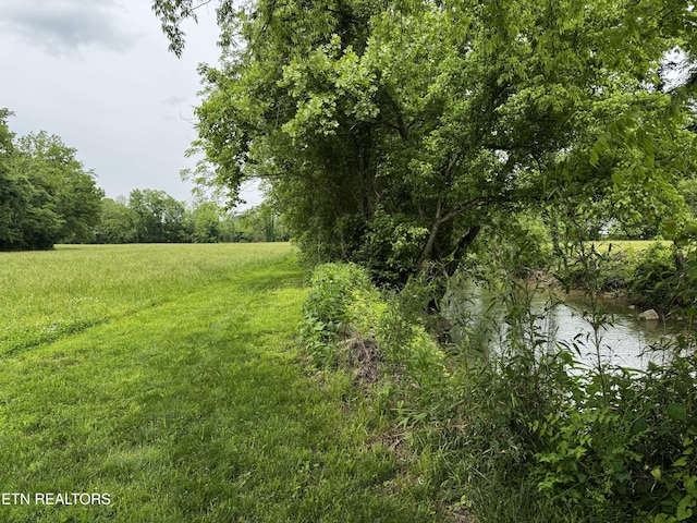 1309 Licklog Hollow Rd, Sevierville, TN 37876 - photo 27