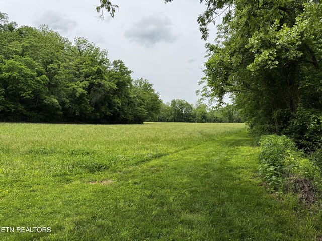 1309 Licklog Hollow Rd, Sevierville, TN 37876 - photo 28