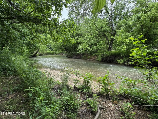 1309 Licklog Hollow Rd, Sevierville, TN 37876 - photo 31