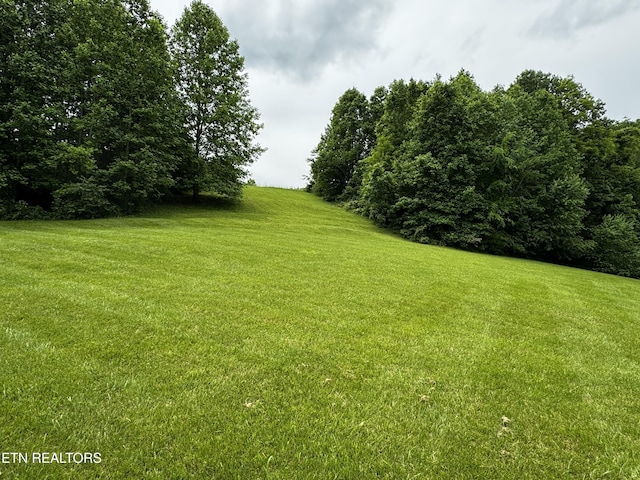 1309 Licklog Hollow Rd, Sevierville, TN 37876 - photo 32