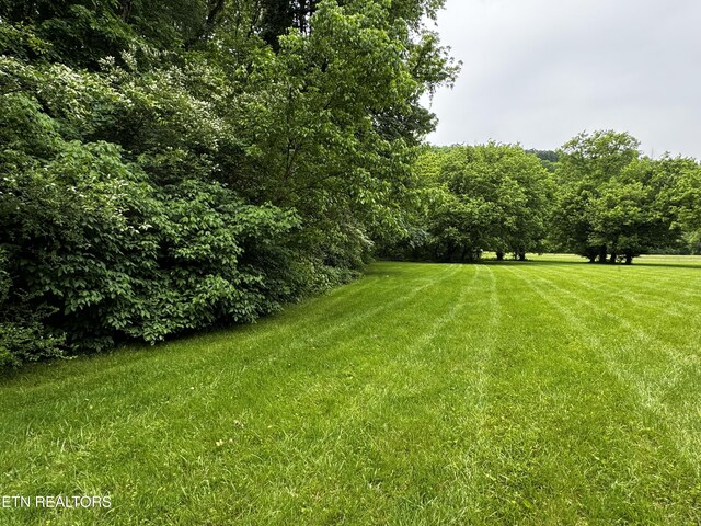 1309 Licklog Hollow Rd, Sevierville, TN 37876 - photo 33