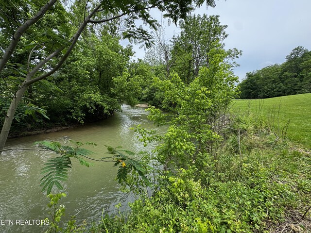 1309 Licklog Hollow Rd, Sevierville, TN 37876 - photo 34