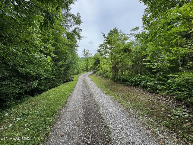 1309 Licklog Hollow Rd, Sevierville, TN 37876 - photo 35