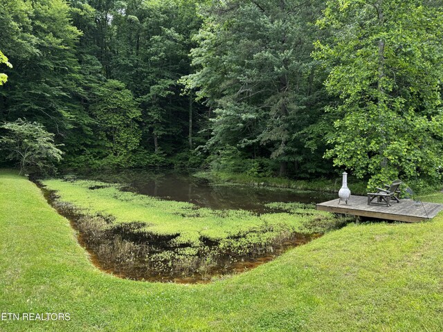 1309 Licklog Hollow Rd, Sevierville, TN 37876 - photo 37