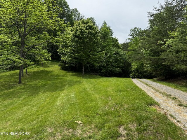1309 Licklog Hollow Rd, Sevierville, TN 37876 - photo 38