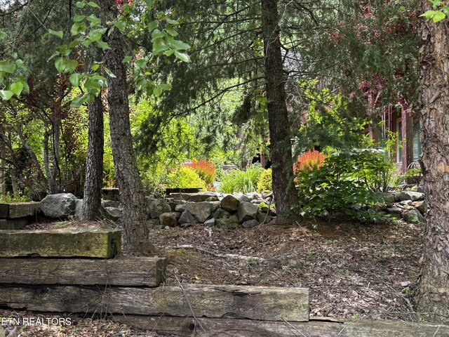 1309 Licklog Hollow Rd, Sevierville, TN 37876 - photo 40