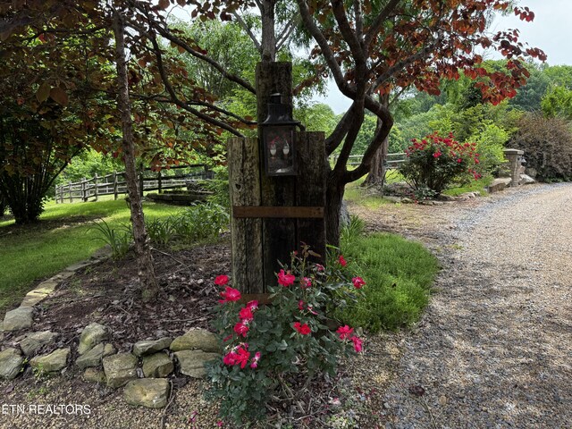 1309 Licklog Hollow Rd, Sevierville, TN 37876 - photo 41