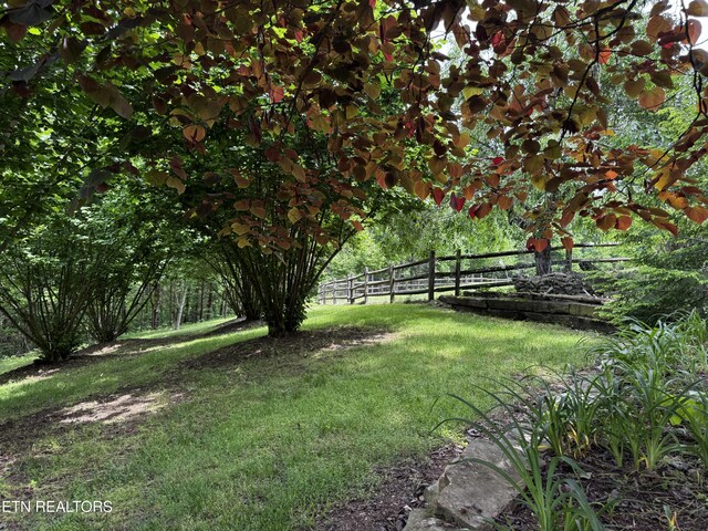 1309 Licklog Hollow Rd, Sevierville, TN 37876 - photo 42