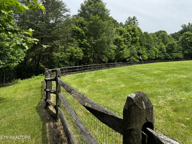 1309 Licklog Hollow Rd, Sevierville, TN 37876 - photo 43