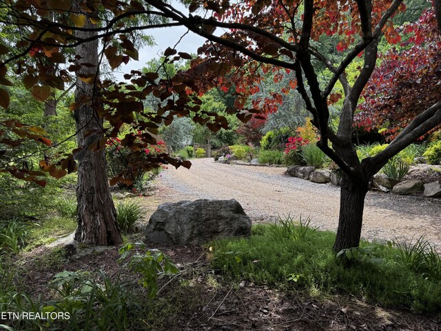 1309 Licklog Hollow Rd, Sevierville, TN 37876 - photo 44