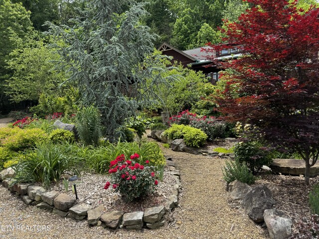 1309 Licklog Hollow Rd, Sevierville, TN 37876 - photo 46