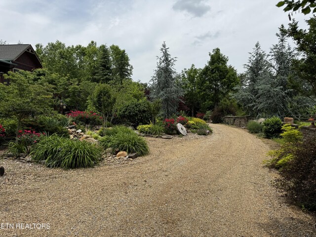 1309 Licklog Hollow Rd, Sevierville, TN 37876 - photo 49