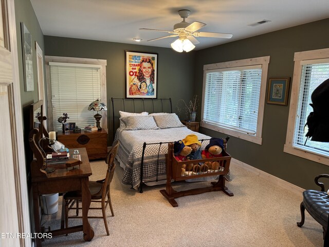 1309 Licklog Hollow Rd, Sevierville, TN 37876 - photo 19