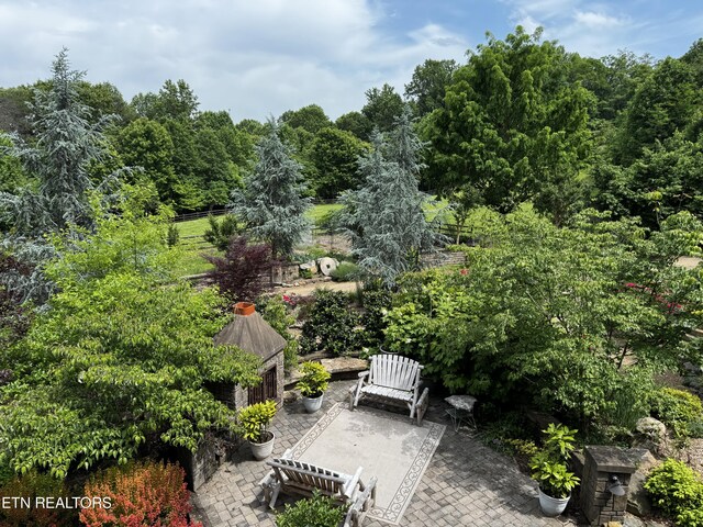 1309 Licklog Hollow Rd, Sevierville, TN 37876 - photo 26