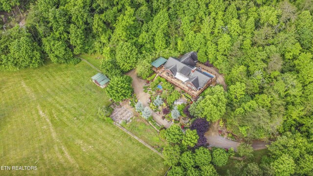 1309 Licklog Hollow Rd, Sevierville, TN 37876 - photo 56