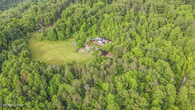 1309 Licklog Hollow Rd, Sevierville, TN 37876 - photo 57