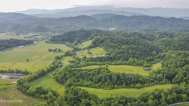 1309 Licklog Hollow Rd, Sevierville, TN 37876 - photo 59