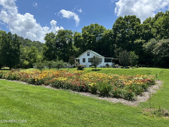 1309 Licklog Hollow Rd, Sevierville, TN 37876 - photo 60