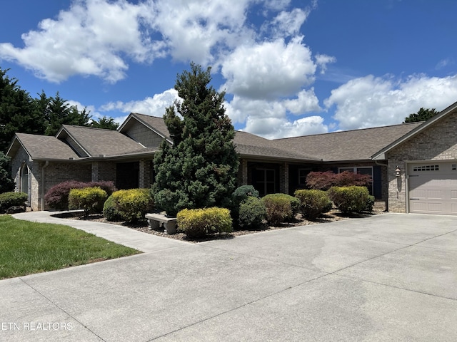 1018 Southwind Cir, Dandridge, TN 37725 - view of front facade featuring driveway, brick siding, a garage, and a shingled roof