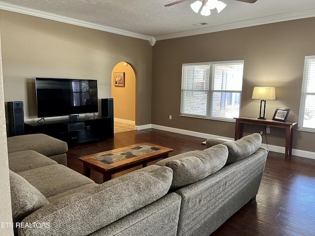1018 Southwind Cir, Dandridge, TN 37725 - living area featuring arched walkways, ceiling fan, ornamental molding, wood finished floors, and baseboards