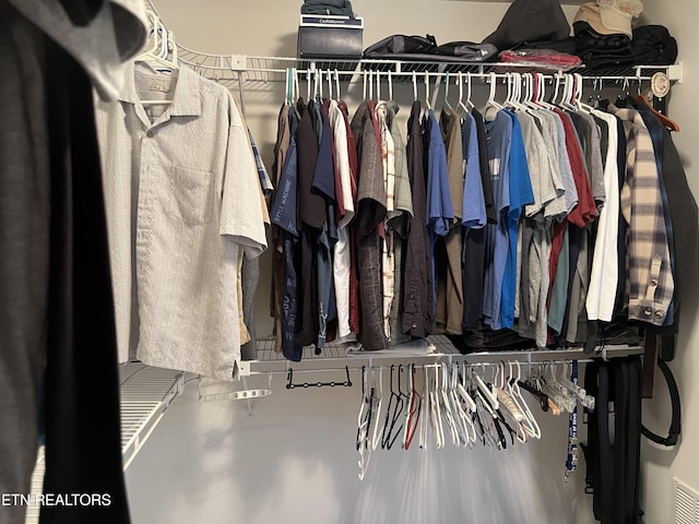 1018 Southwind Cir, Dandridge, TN 37725 - view of spacious closet