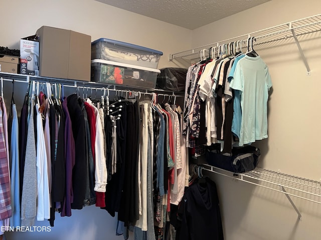1018 Southwind Cir, Dandridge, TN 37725 - view of spacious closet
