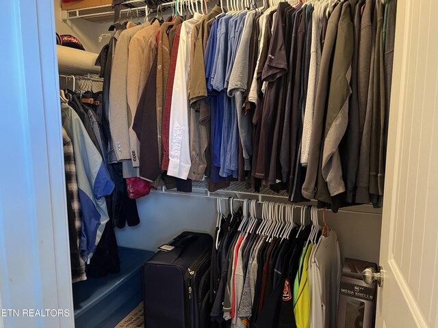 1018 Southwind Cir, Dandridge, TN 37725 - view of walk in closet