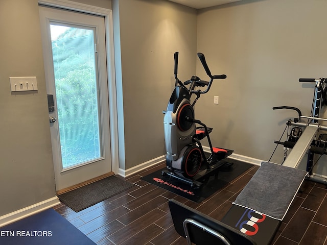 1018 Southwind Cir, Dandridge, TN 37725 - workout room featuring dark wood-style floors, plenty of natural light, and baseboards