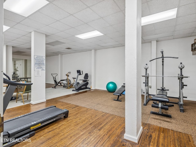 203 Regal Tower, Maryville, TN 37804 - workout area with a drop ceiling, wood finished floors, and baseboards